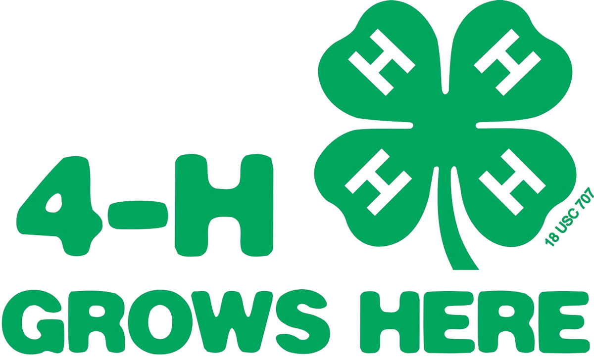4-H Grows